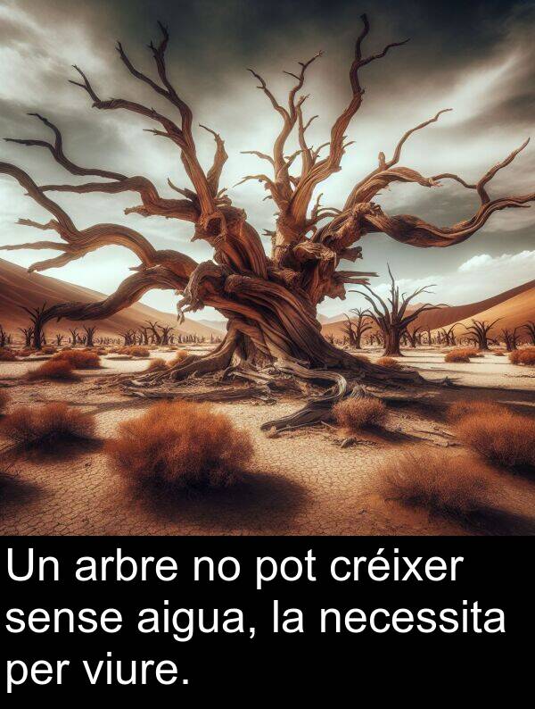 aigua: Un arbre no pot créixer sense aigua, la necessita per viure.