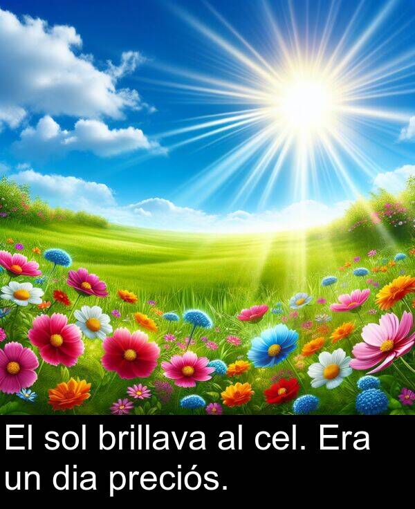 brillava: El sol brillava al cel. Era un dia preciós.