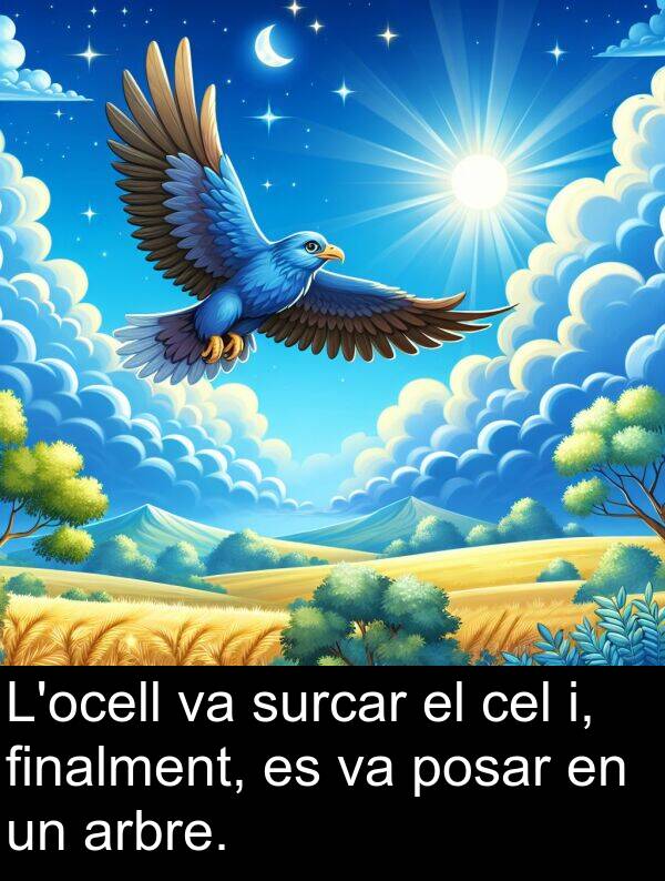 cel: L'ocell va surcar el cel i, finalment, es va posar en un arbre.