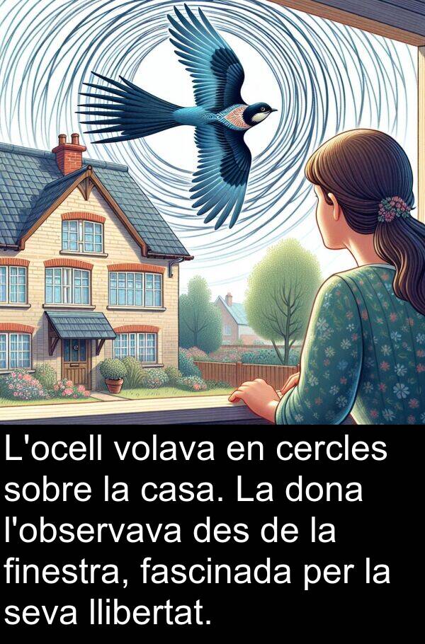 llibertat: L'ocell volava en cercles sobre la casa. La dona l'observava des de la finestra, fascinada per la seva llibertat.