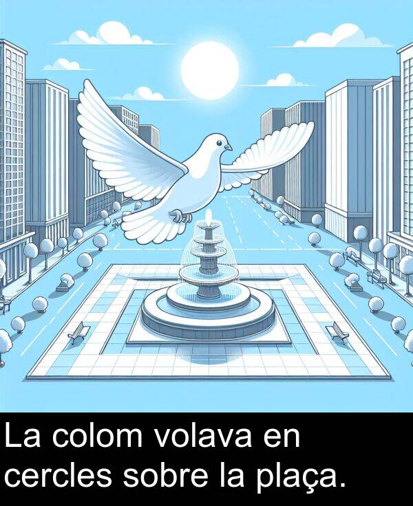 volava: La colom volava en cercles sobre la plaça.