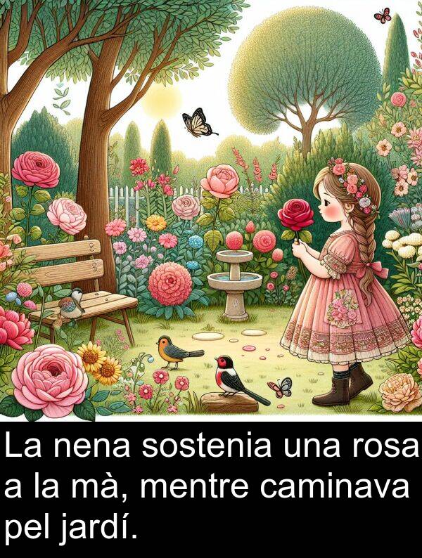 jardí: La nena sostenia una rosa a la mà, mentre caminava pel jardí.