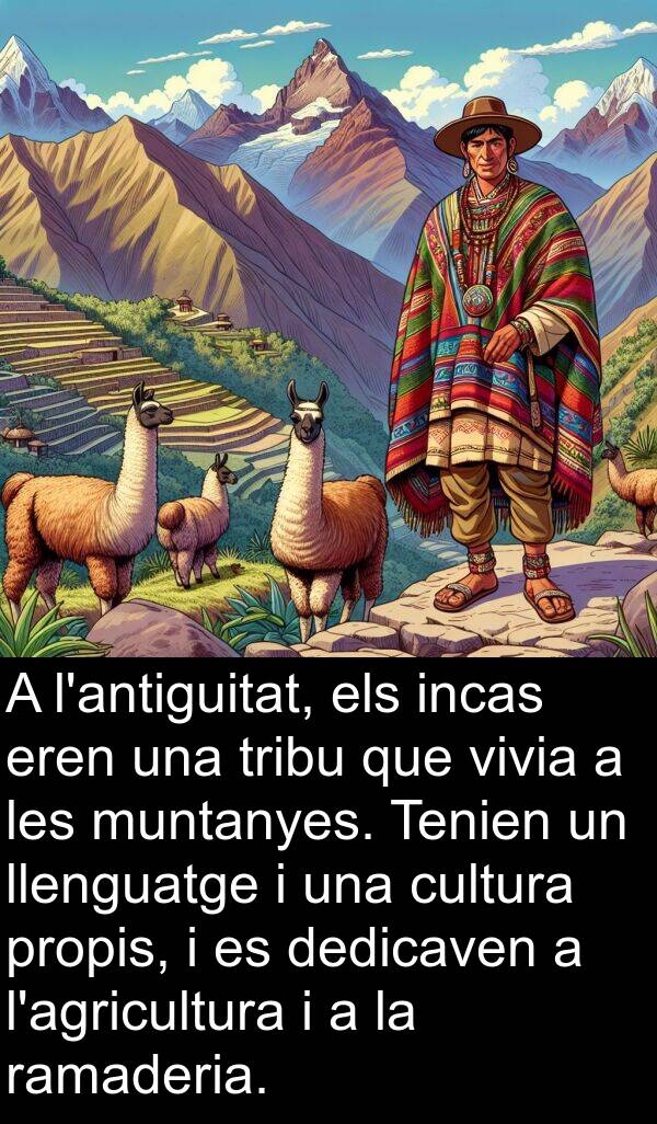 llenguatge: A l'antiguitat, els incas eren una tribu que vivia a les muntanyes. Tenien un llenguatge i una cultura propis, i es dedicaven a l'agricultura i a la ramaderia.