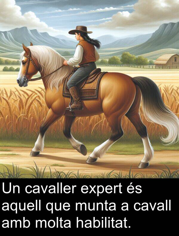 cavaller: Un cavaller expert és aquell que munta a cavall amb molta habilitat.