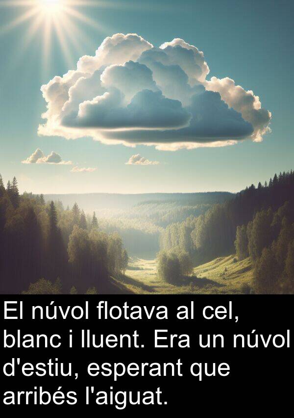 lluent: El núvol flotava al cel, blanc i lluent. Era un núvol d'estiu, esperant que arribés l'aiguat.