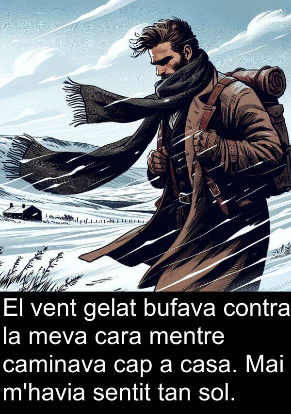 cara: El vent gelat bufava contra la meva cara mentre caminava cap a casa. Mai m'havia sentit tan sol.