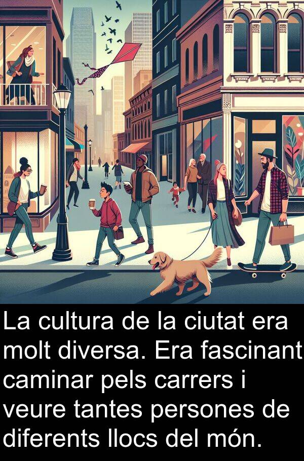 pels: La cultura de la ciutat era molt diversa. Era fascinant caminar pels carrers i veure tantes persones de diferents llocs del món.