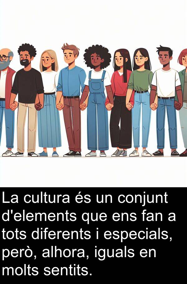 fan: La cultura és un conjunt d'elements que ens fan a tots diferents i especials, però, alhora, iguals en molts sentits.