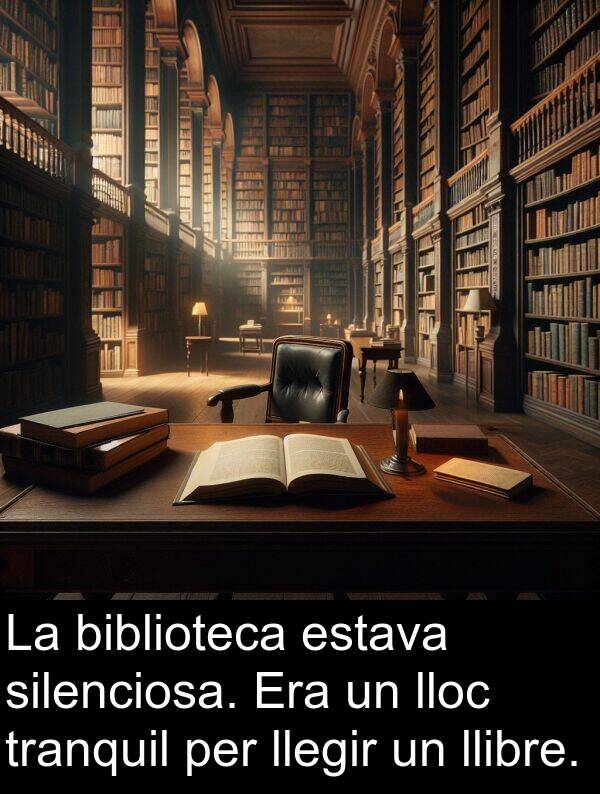 lloc: La biblioteca estava silenciosa. Era un lloc tranquil per llegir un llibre.