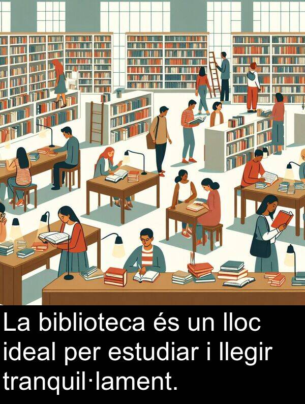 lloc: La biblioteca és un lloc ideal per estudiar i llegir tranquil·lament.