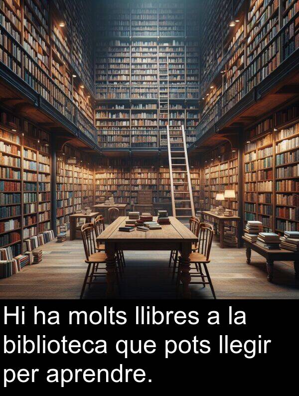 llegir: Hi ha molts llibres a la biblioteca que pots llegir per aprendre.