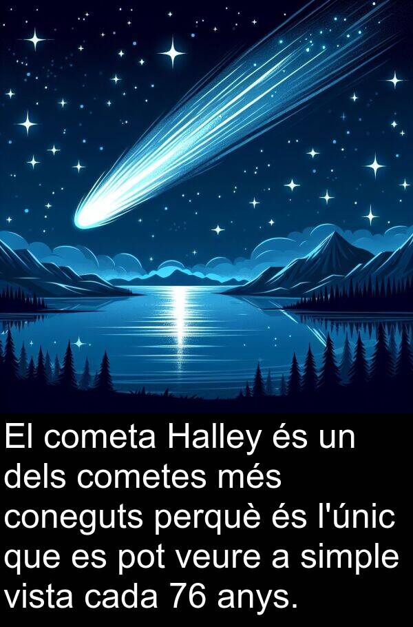 vista: El cometa Halley és un dels cometes més coneguts perquè és l'únic que es pot veure a simple vista cada 76 anys.