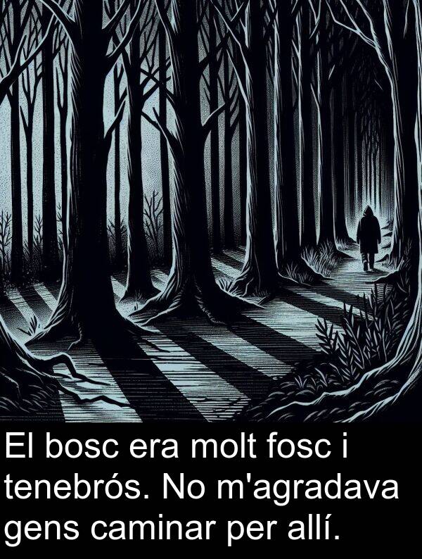 bosc: El bosc era molt fosc i tenebrós. No m'agradava gens caminar per allí.