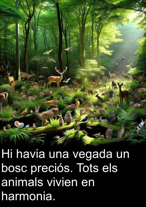 bosc: Hi havia una vegada un bosc preciós. Tots els animals vivien en harmonia.