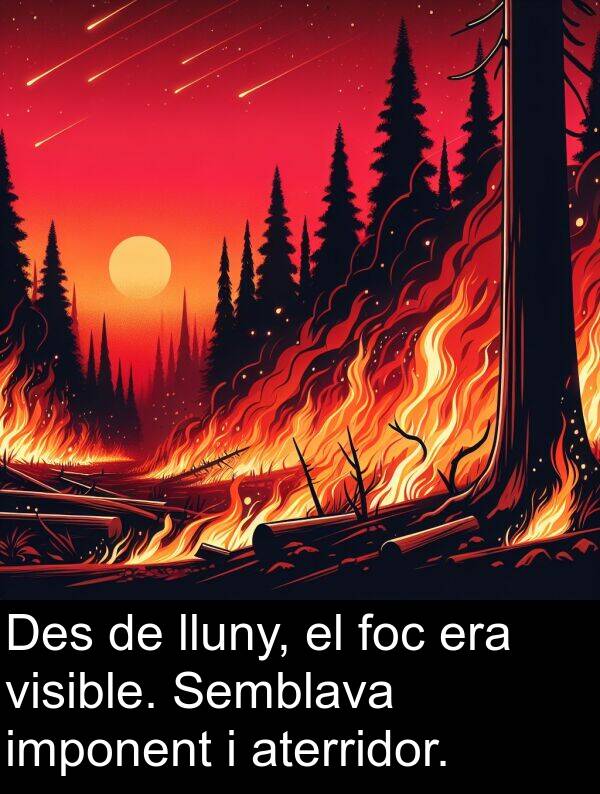 lluny: Des de lluny, el foc era visible. Semblava imponent i aterridor.