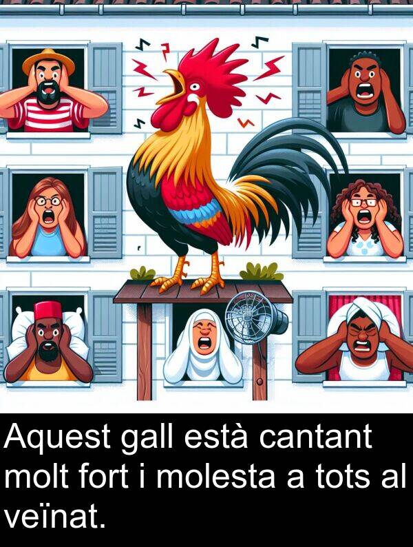 cantant: Aquest gall està cantant molt fort i molesta a tots al veïnat.