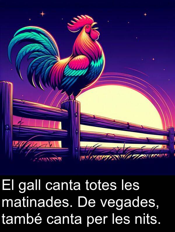 canta: El gall canta totes les matinades. De vegades, també canta per les nits.