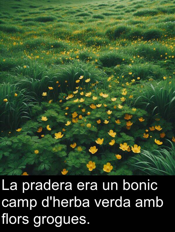 bonic: La pradera era un bonic camp d'herba verda amb flors grogues.