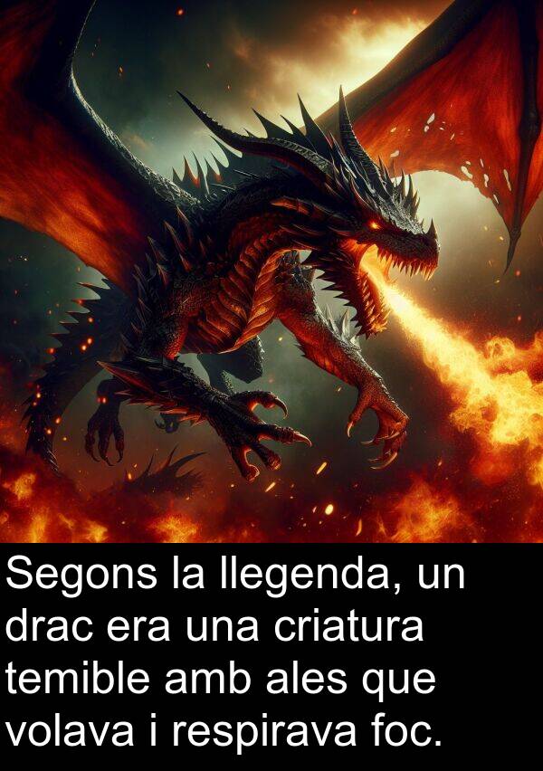 llegenda: Segons la llegenda, un drac era una criatura temible amb ales que volava i respirava foc.