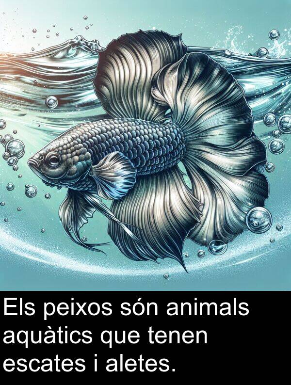 aletes: Els peixos són animals aquàtics que tenen escates i aletes.