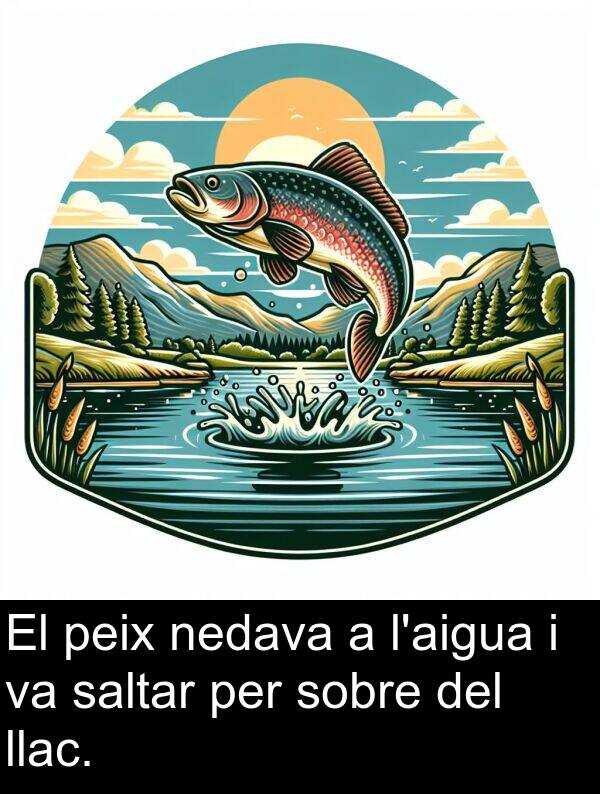 llac: El peix nedava a l'aigua i va saltar per sobre del llac.