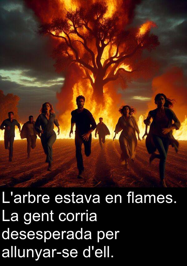 desesperada: L'arbre estava en flames. La gent corria desesperada per allunyar-se d'ell.