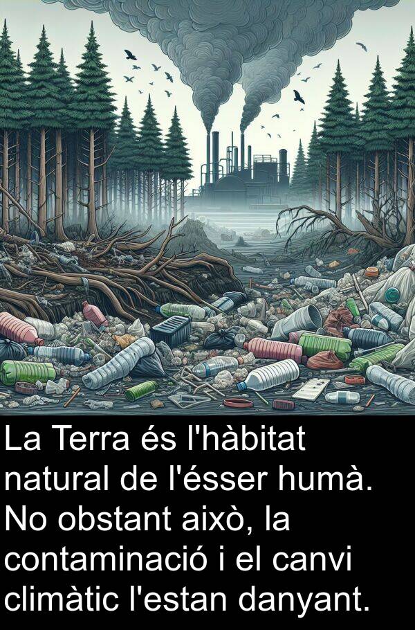 això: La Terra és l'hàbitat natural de l'ésser humà. No obstant això, la contaminació i el canvi climàtic l'estan danyant.