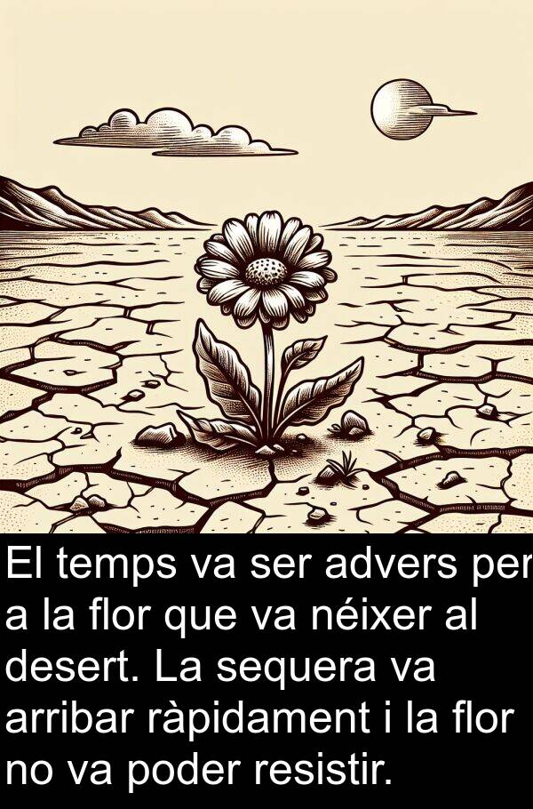 desert: El temps va ser advers per a la flor que va néixer al desert. La sequera va arribar ràpidament i la flor no va poder resistir.