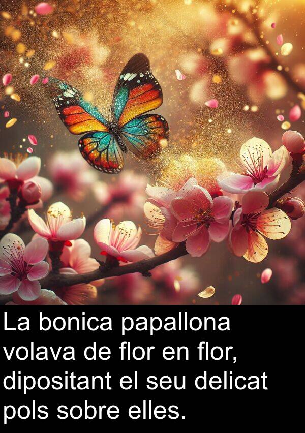 papallona: La bonica papallona volava de flor en flor, dipositant el seu delicat pols sobre elles.