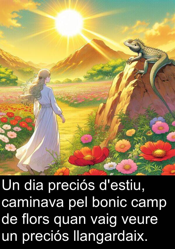 bonic: Un dia preciós d'estiu, caminava pel bonic camp de flors quan vaig veure un preciós llangardaix.