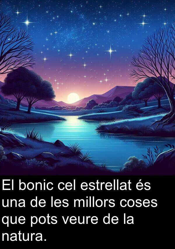 bonic: El bonic cel estrellat és una de les millors coses que pots veure de la natura.