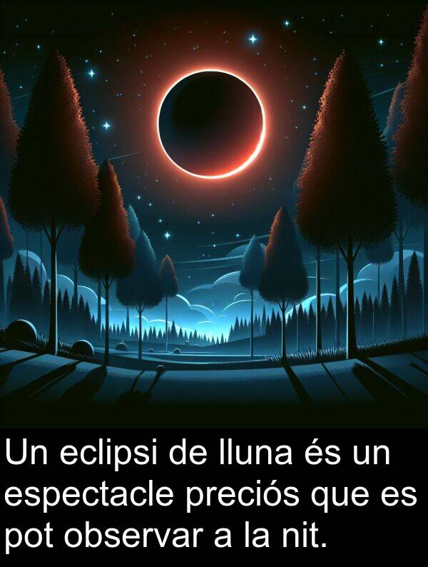 observar: Un eclipsi de lluna és un espectacle preciós que es pot observar a la nit.