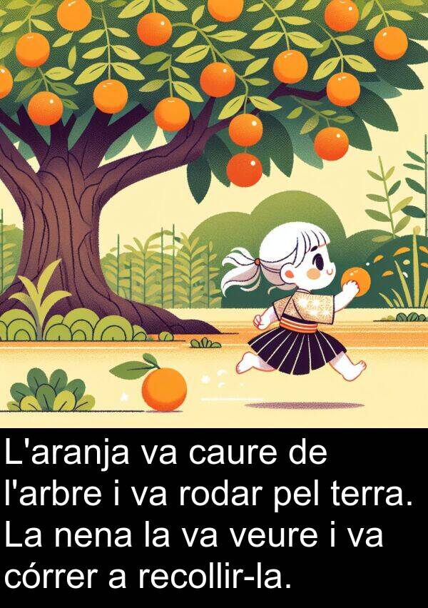 caure: L'aranja va caure de l'arbre i va rodar pel terra. La nena la va veure i va córrer a recollir-la.