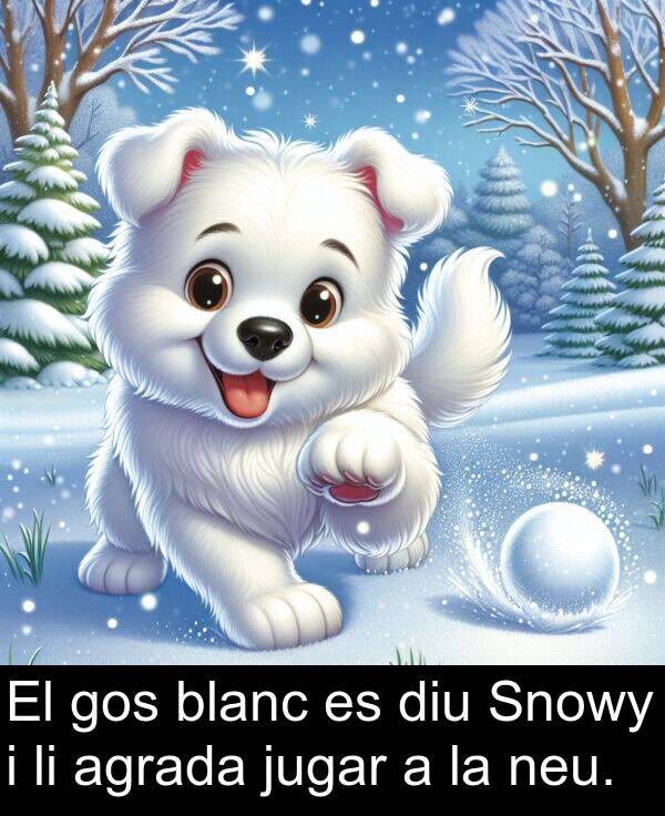 jugar: El gos blanc es diu Snowy i li agrada jugar a la neu.