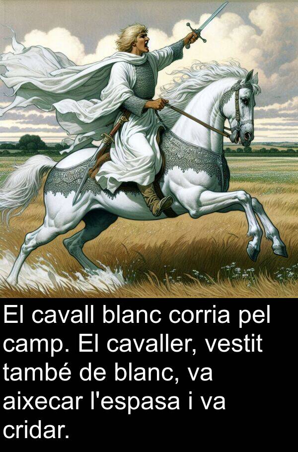 aixecar: El cavall blanc corria pel camp. El cavaller, vestit també de blanc, va aixecar l'espasa i va cridar.