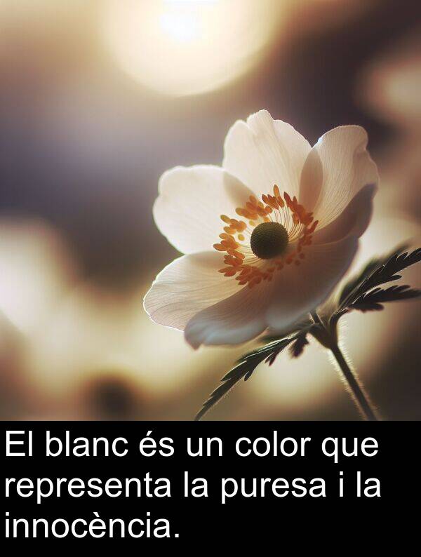 blanc: El blanc és un color que representa la puresa i la innocència.