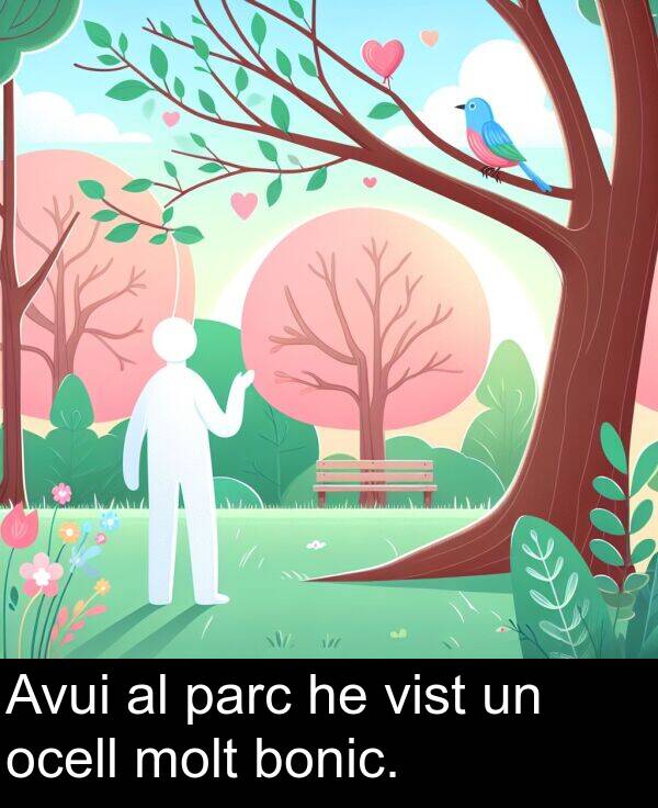 bonic: Avui al parc he vist un ocell molt bonic.