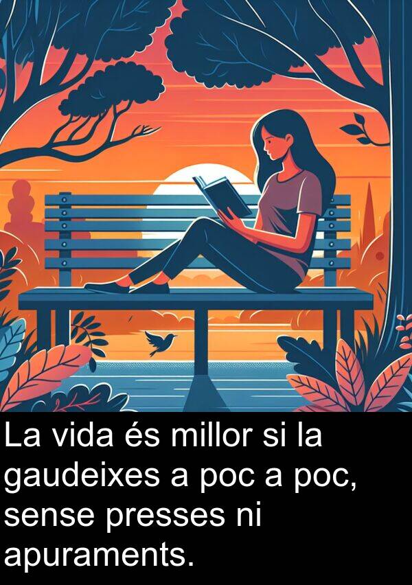 sense: La vida és millor si la gaudeixes a poc a poc, sense presses ni apuraments.