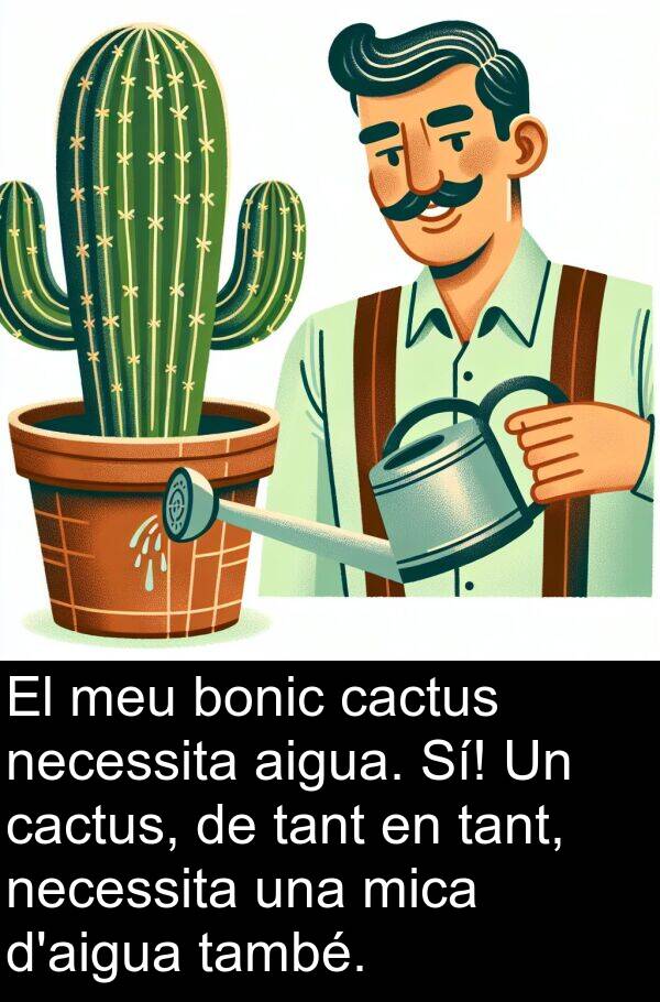 cactus: El meu bonic cactus necessita aigua. Sí! Un cactus, de tant en tant, necessita una mica d'aigua també.