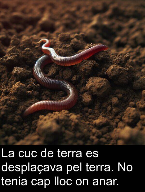 lloc: La cuc de terra es desplaçava pel terra. No tenia cap lloc on anar.