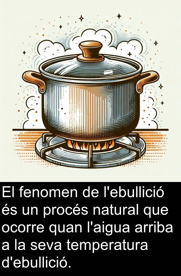 ocorre: El fenomen de l'ebullició és un procés natural que ocorre quan l'aigua arriba a la seva temperatura d'ebullició.