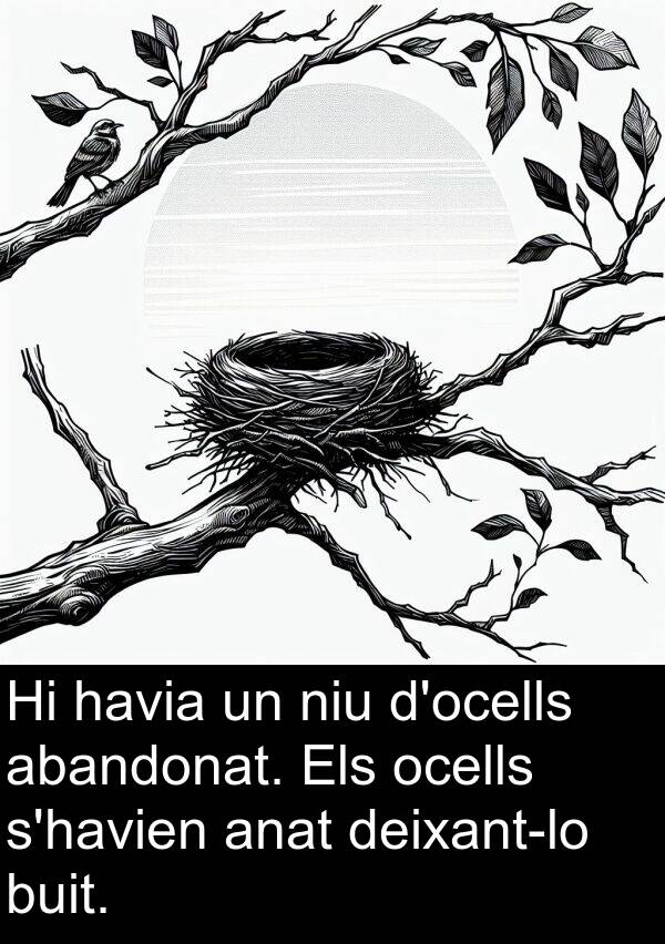 ocells: Hi havia un niu d'ocells abandonat. Els ocells s'havien anat deixant-lo buit.