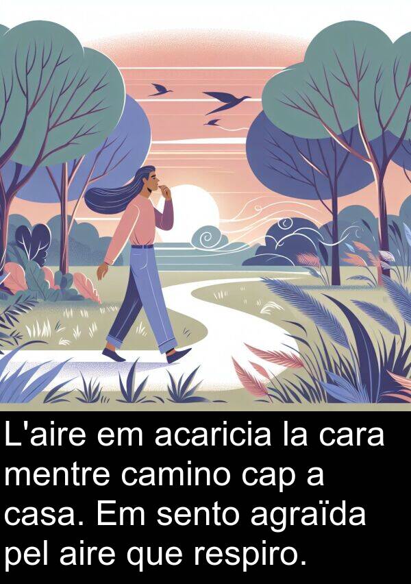 aire: L'aire em acaricia la cara mentre camino cap a casa. Em sento agraïda pel aire que respiro.