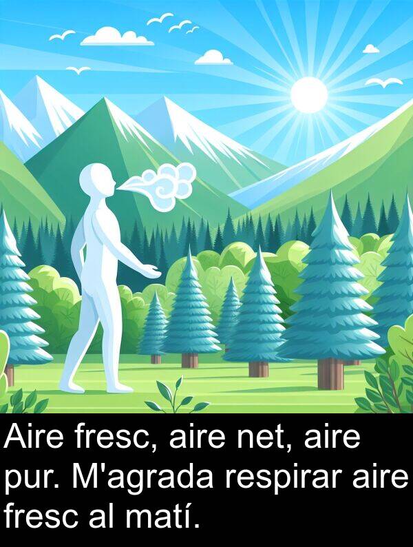 aire: Aire fresc, aire net, aire pur. M'agrada respirar aire fresc al matí.