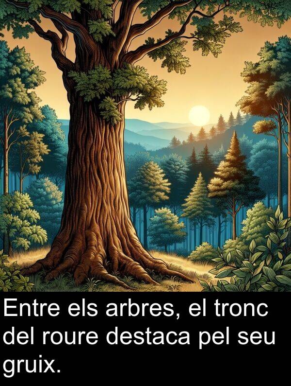 pel: Entre els arbres, el tronc del roure destaca pel seu gruix.