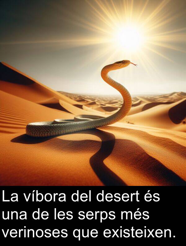 desert: La víbora del desert és una de les serps més verinoses que existeixen.