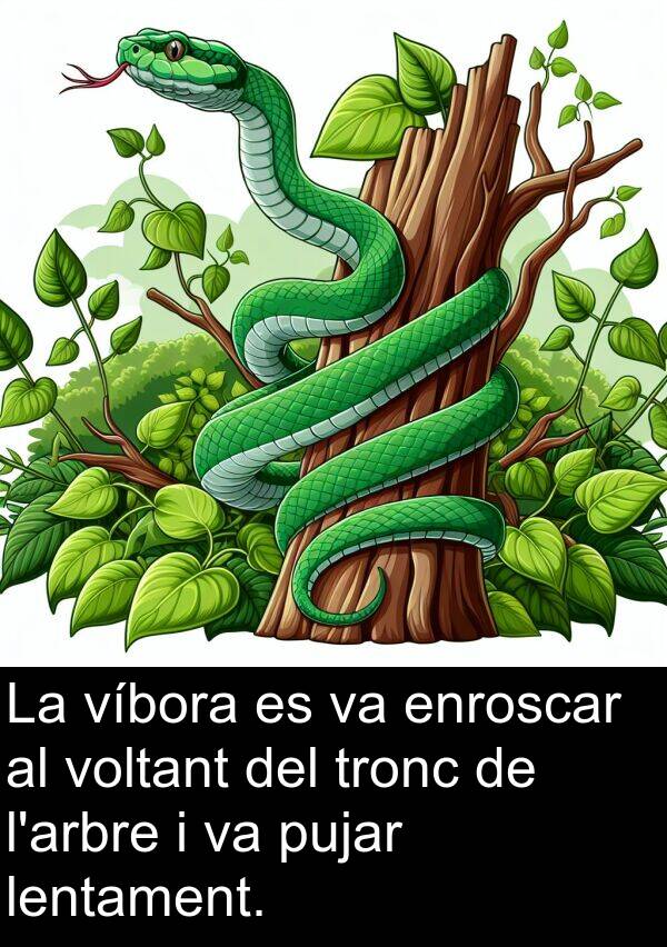 lentament: La víbora es va enroscar al voltant del tronc de l'arbre i va pujar lentament.