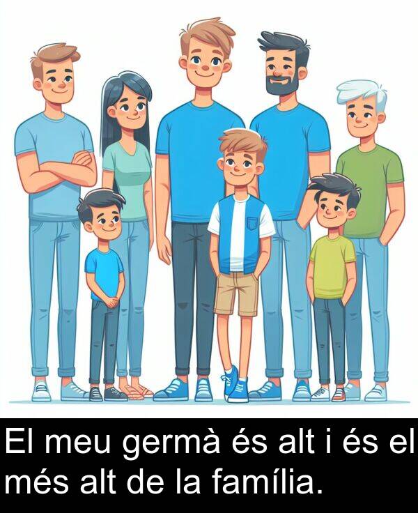 família: El meu germà és alt i és el més alt de la família.