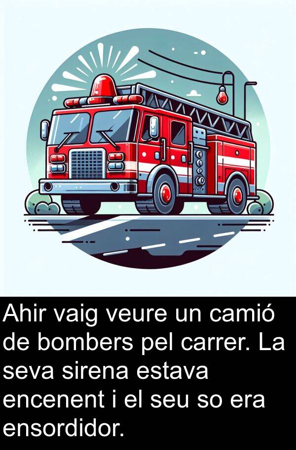 carrer: Ahir vaig veure un camió de bombers pel carrer. La seva sirena estava encenent i el seu so era ensordidor.