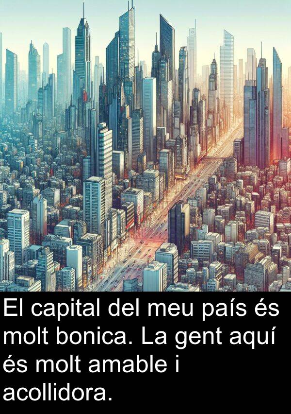 bonica: El capital del meu país és molt bonica. La gent aquí és molt amable i acollidora.